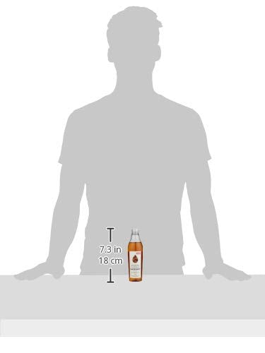 Simply - Zuckerfreier Haselnusssirup, 250 ml