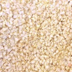 Wholefood Earth Bio-Quinoa-Flocken (500 g)