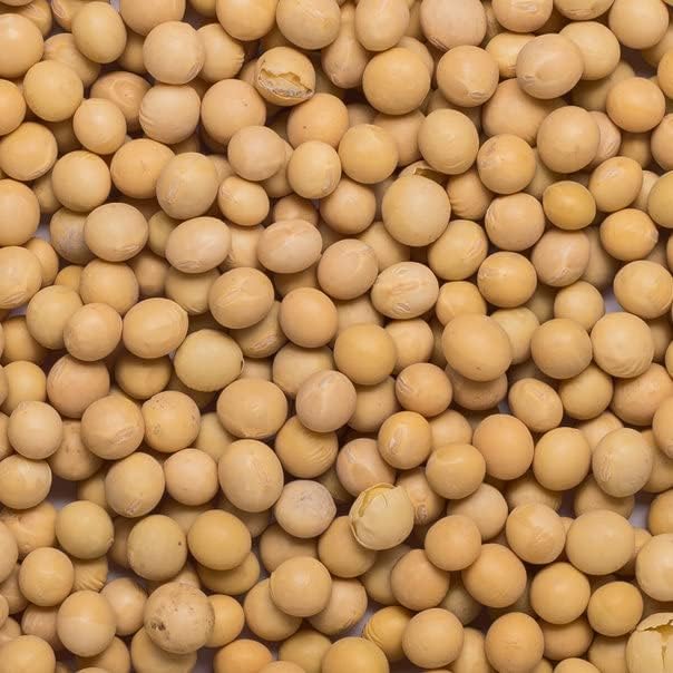 Wholefood Earth Bio-Sojabohnen 2 kg – gentechnikfrei, ballaststoffreich, vegan