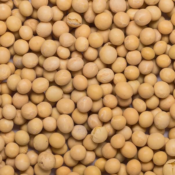 Wholefood Earth Bio-Sojabohnen 1 kg – gentechnikfrei, vegan, ballaststoffreich, proteinreich