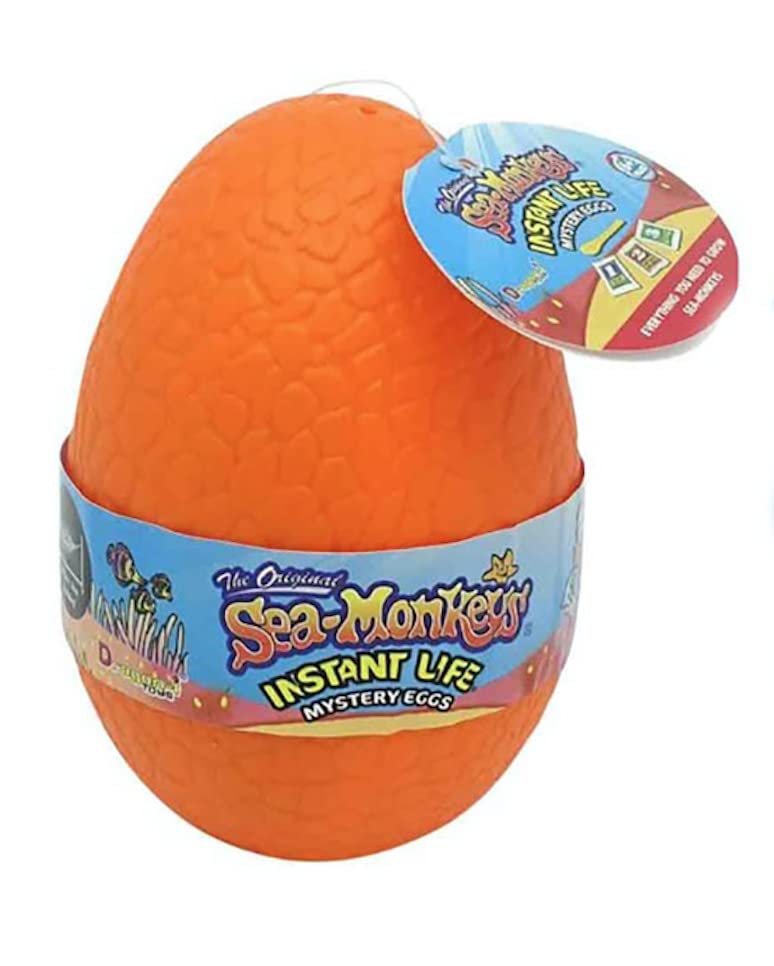 Sea Monkeys Mystery Egg Nachfüllset – Wissenschaftliches Experiment mit lebenden Artemia für Kinder ab 6 Jahren