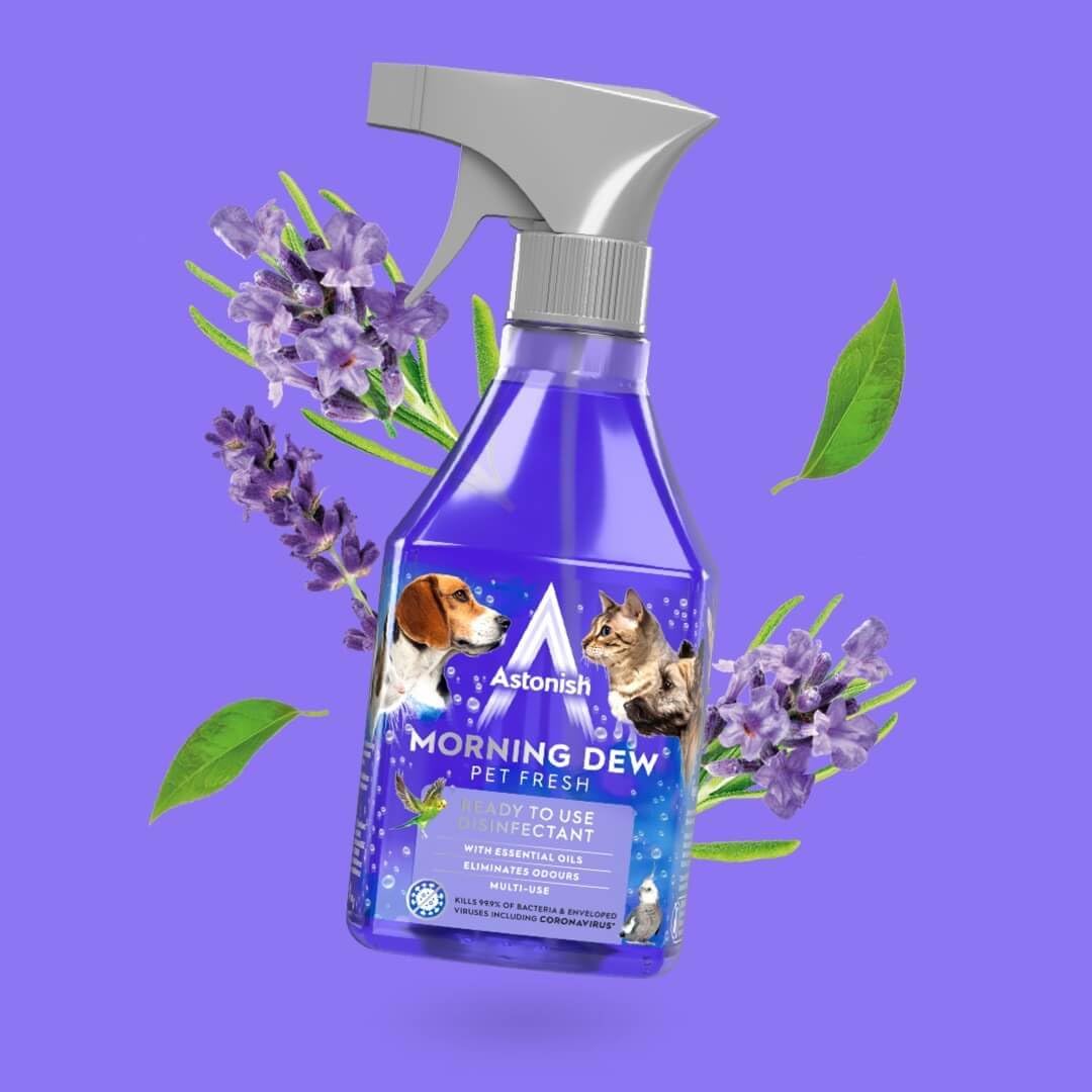 Astonish - Morning Dew Desinfektionsspray (550 ml)