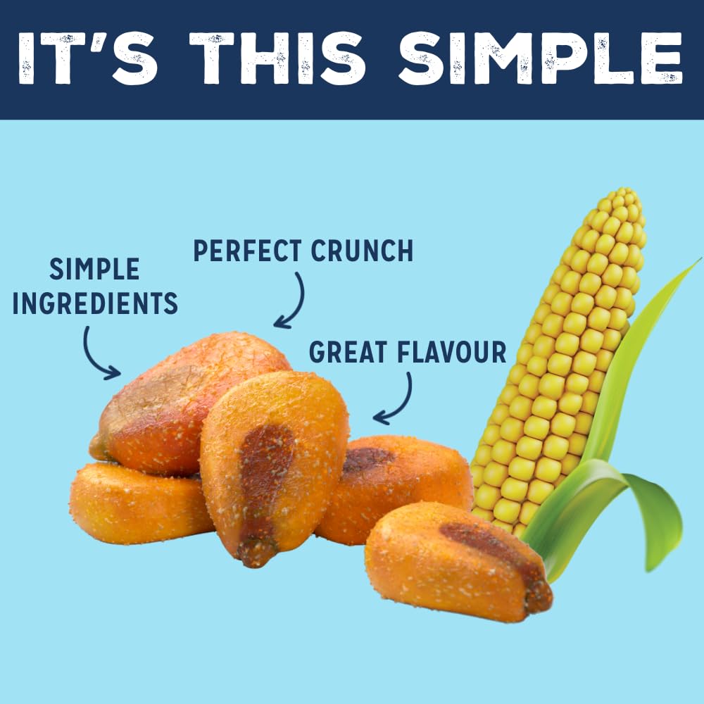 LOVE CORN Knuspriger Maissnack mit Meersalz, 45 g x 10 Beutel – Veganer, glutenfreier, gesunder Snack