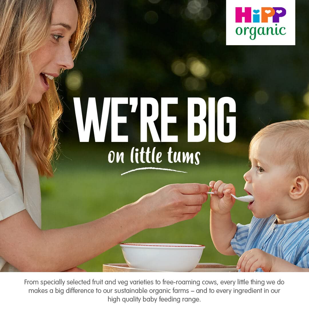HiPP Bio-Babynahrungsglas mit süßem Kürbis und Huhn, 6+ Monate, 125 g (6er-Pack)