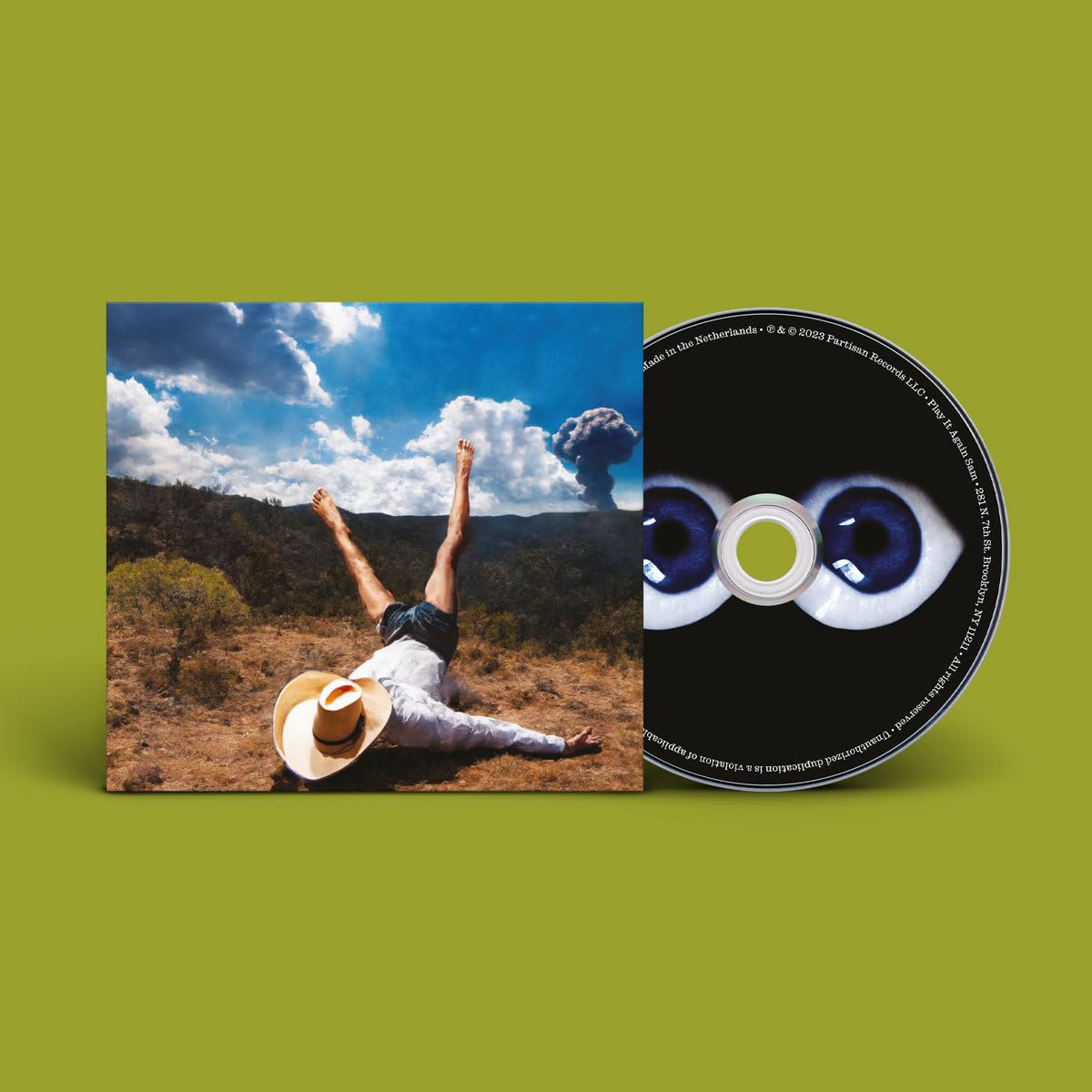 Geese - 3D Country Audio-CD