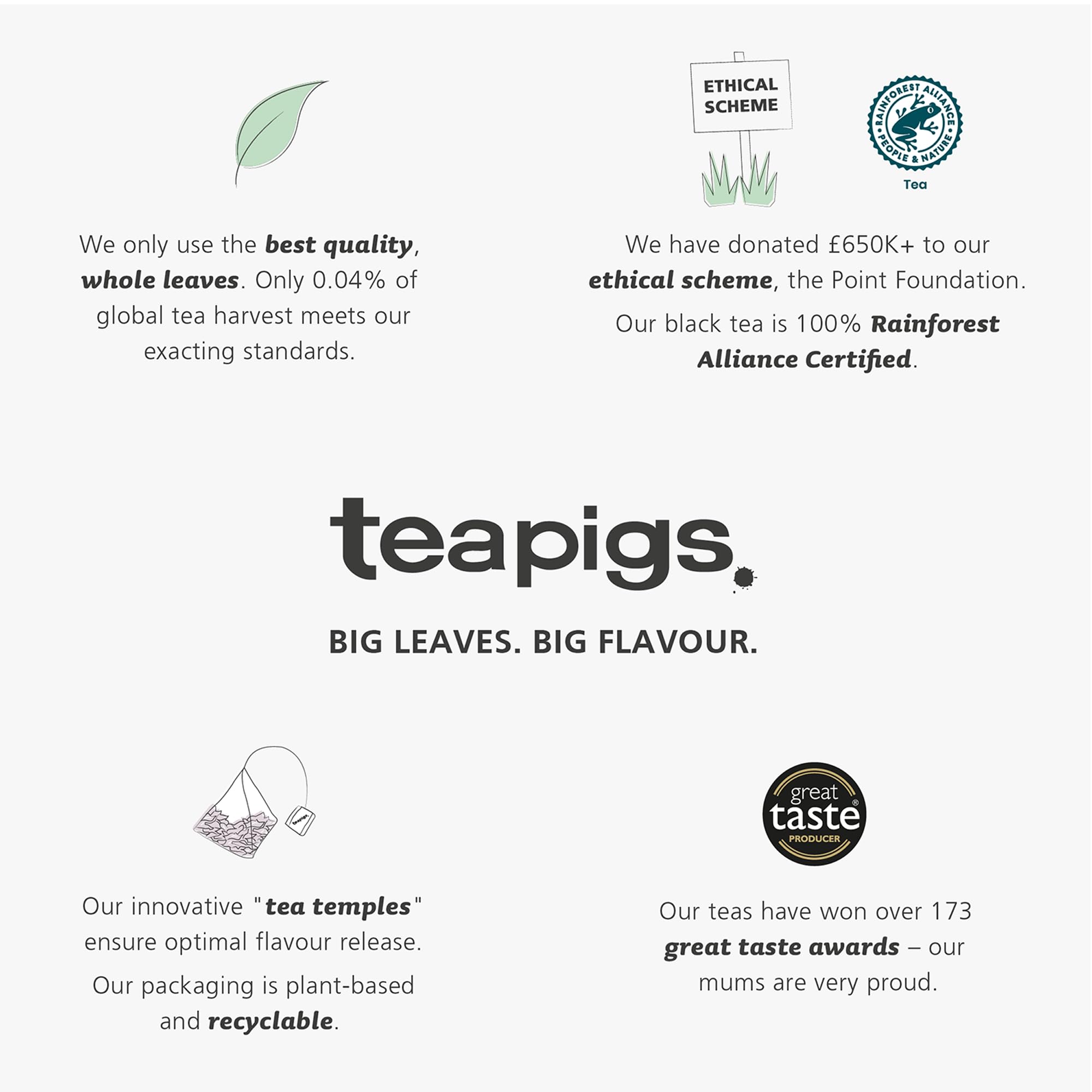 teapigs Marakesh Mint Grüner Tee mit Minze – 15 Teetempel – Chunmee Grüner Tee & Pfefferminzmischung