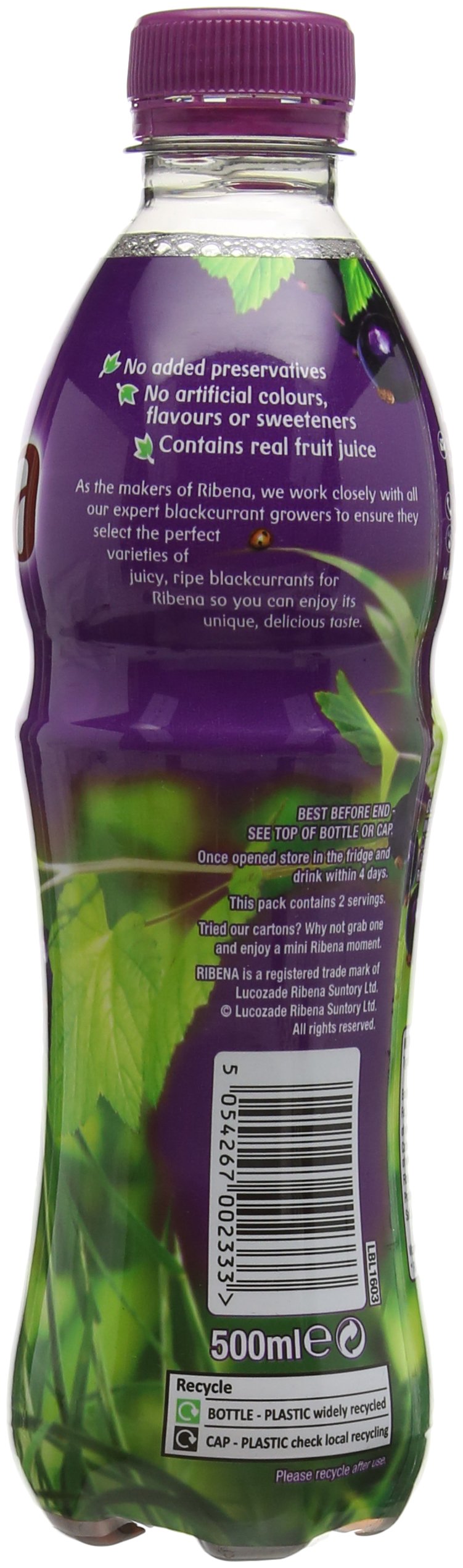 Ribena Schwarze Johannisbeere Saftgetränk 500 ml mit echtem Fruchtsaft, reich an Vitamin C