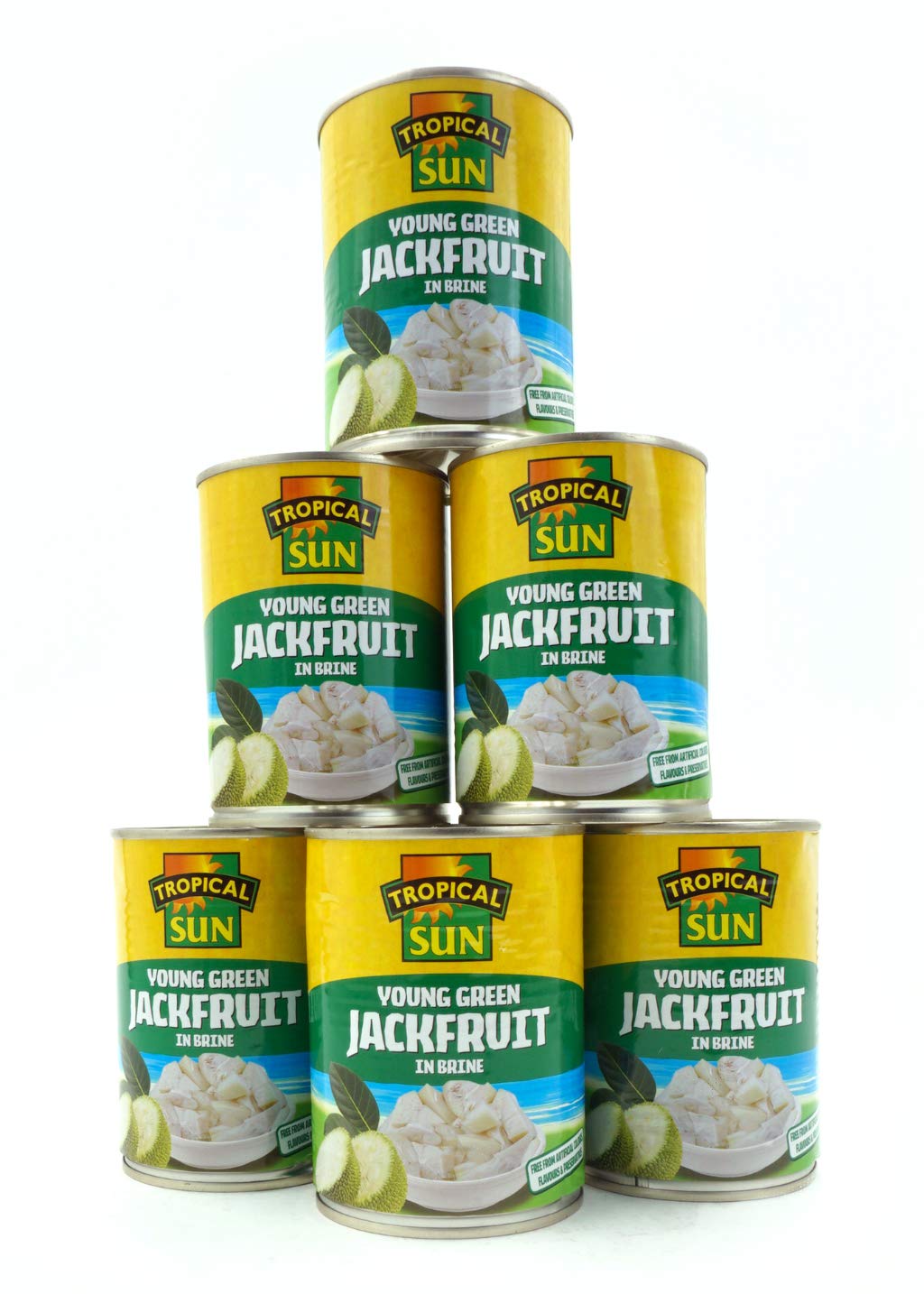 Tropical Sun Junge grüne Jackfrucht in Salzlake 560 g