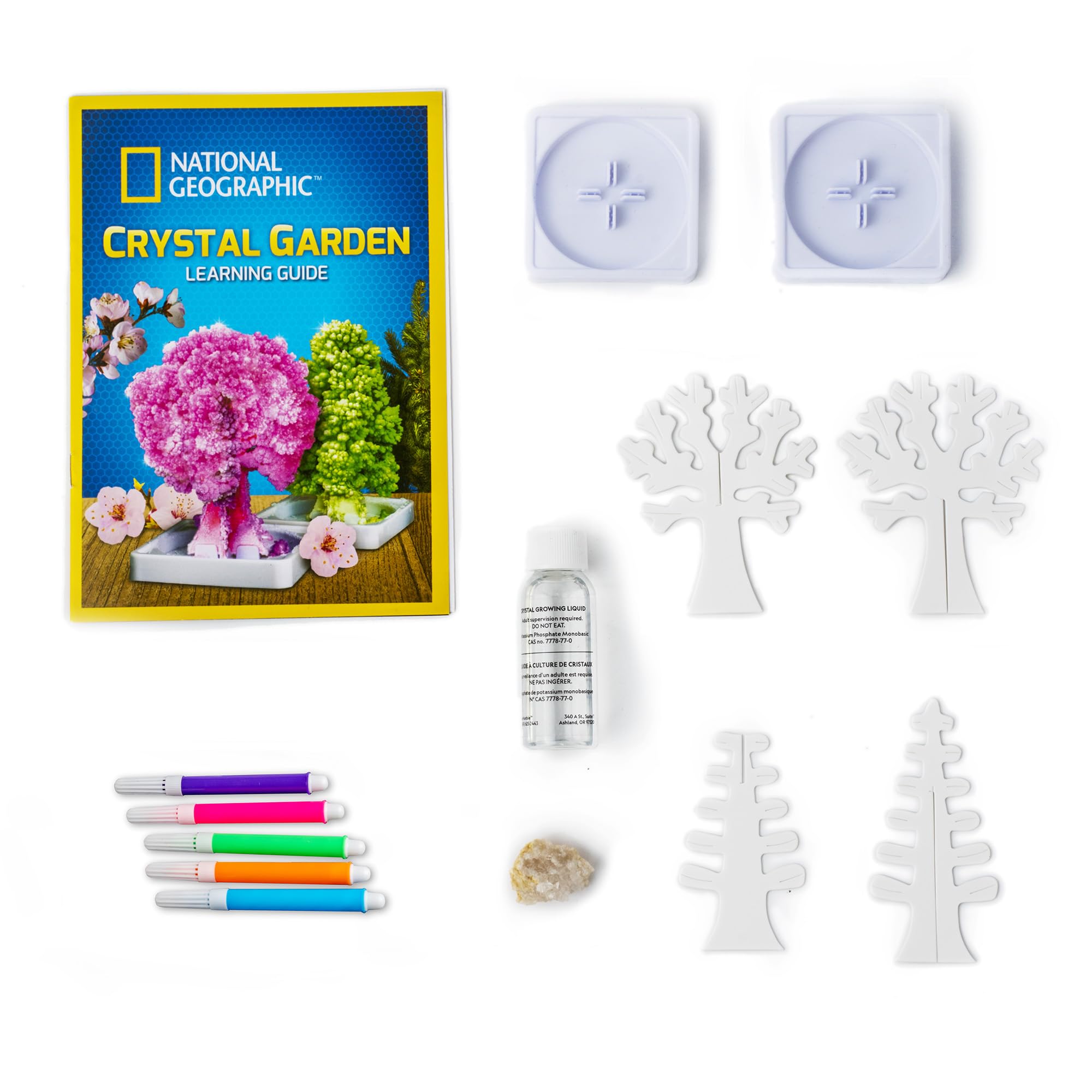 National Geographic Crystal Garden Growing Kit – Wissenschaftliches Experiment für Kinder ab 8 Jahren