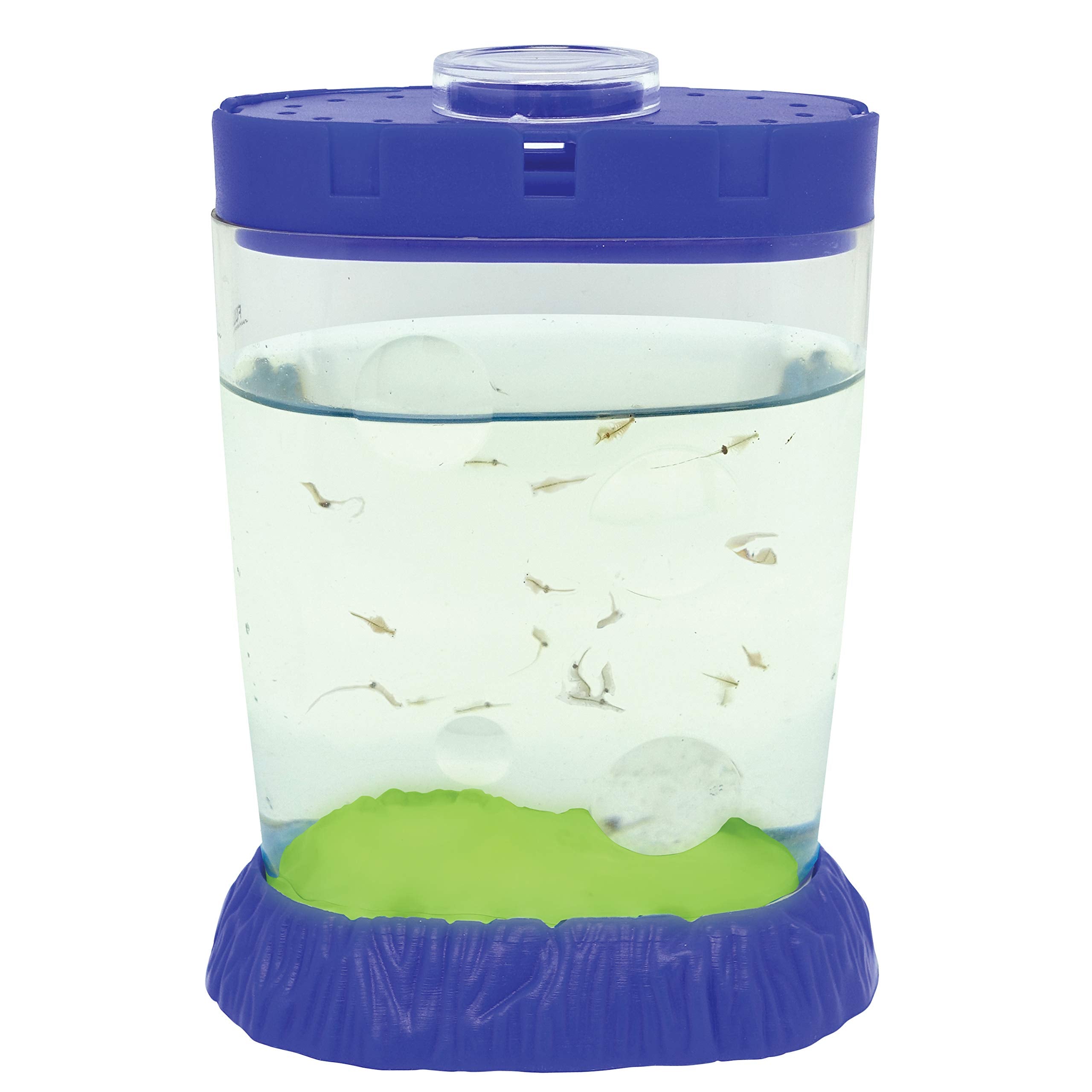 Sea Monkeys Glow in the Dark Magiquarium – Pädagogisches Wissenschaftsset für Kinder ab 6 Jahren