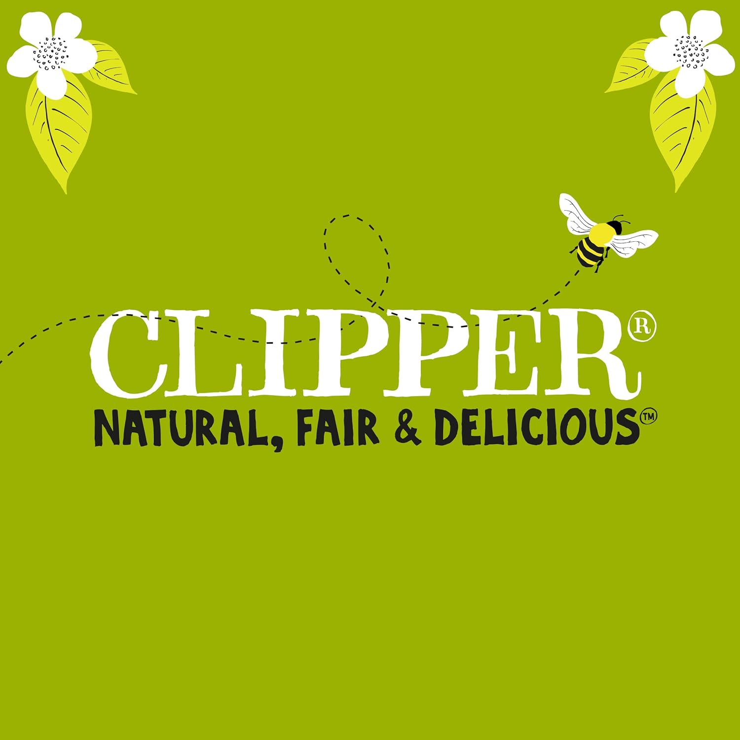 Clipper Bio Grünteebeutel pur – 320 Beutel (4 x 80) Großpackung, Fairtrade & Plastikfrei