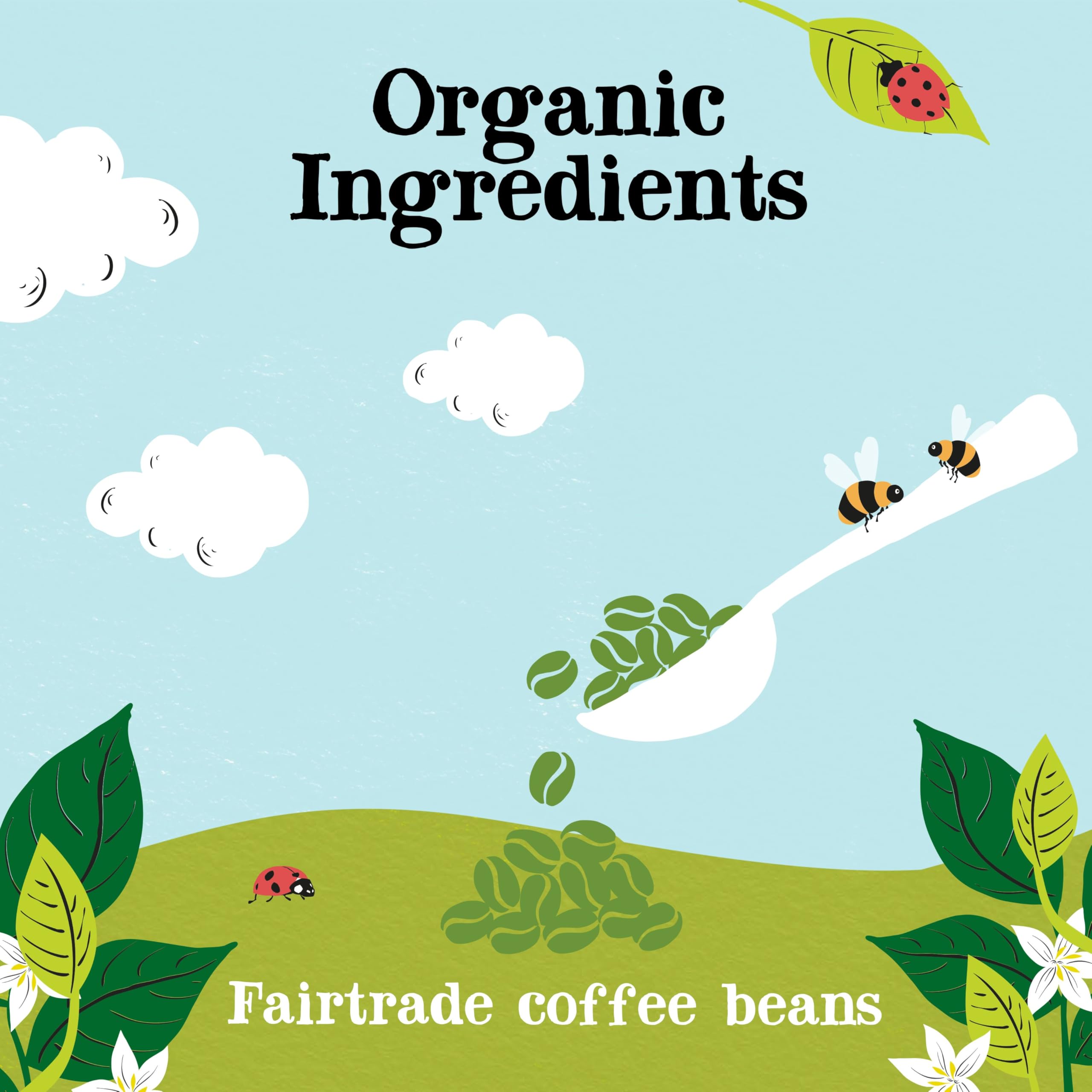 Clipper Bio-Instantkaffee, koffeinfrei, 6 Gläser à 100 g, mittelstark gerösteter Arabica