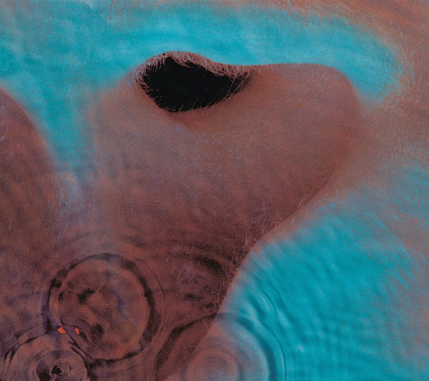 Pink Floyd – Meddle Audio CD
