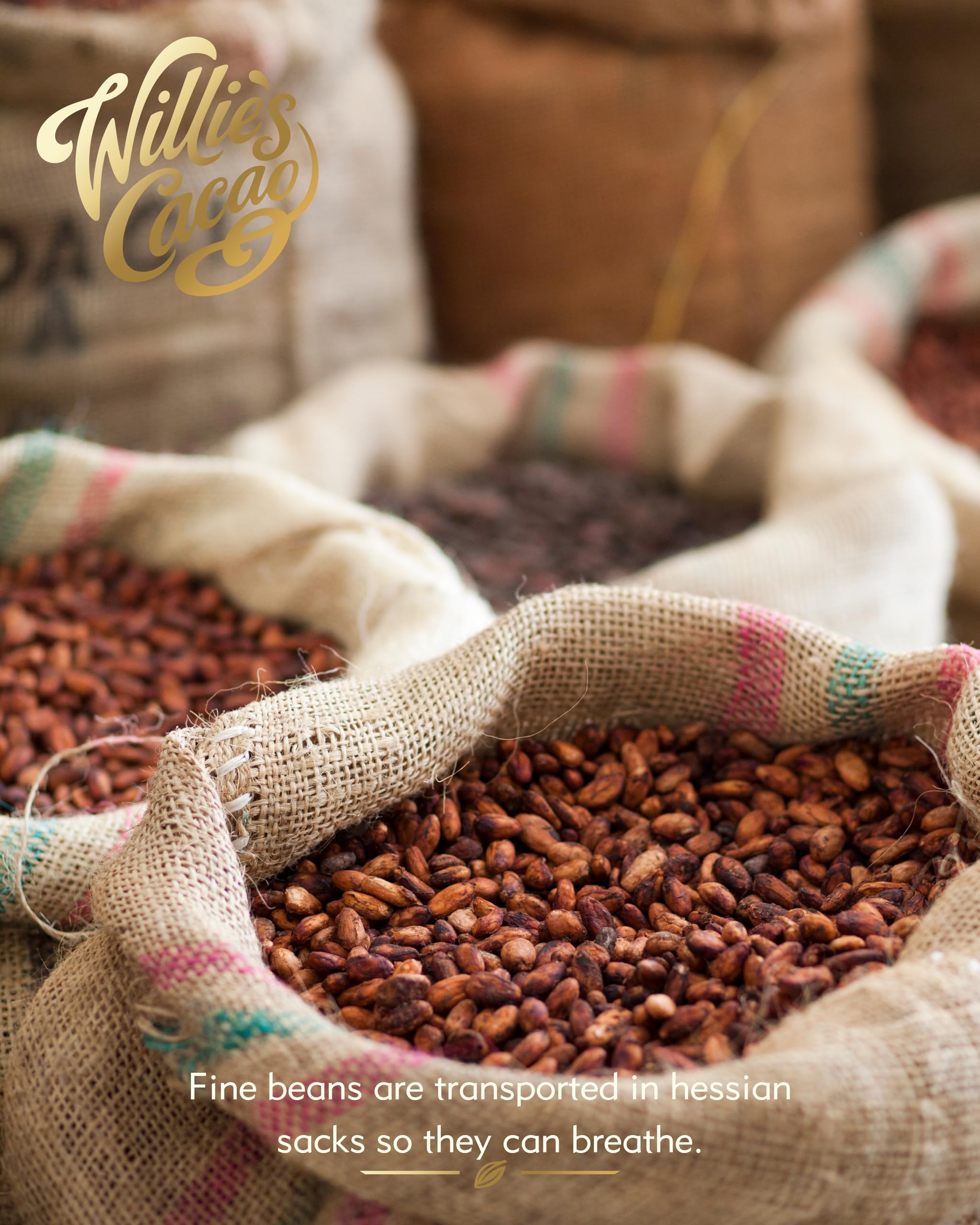 Willie's Cacao – 95 % San Vicente Zartbitterschokolade – 40 g – Weiche Fruchtnoten