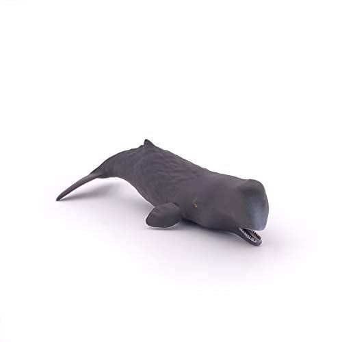 Papo 56045 Sperm Whale Calf Marine Life Figurine - Realistic Hand-Painted Ocean Animal Toy for Kids and Collectors