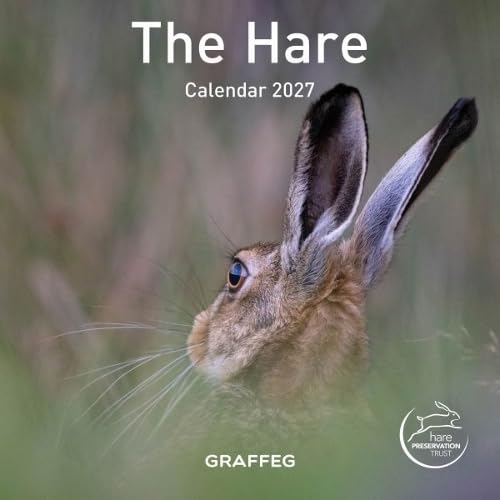 Graffeg The Hare Calendar 2027 - 12 Images
