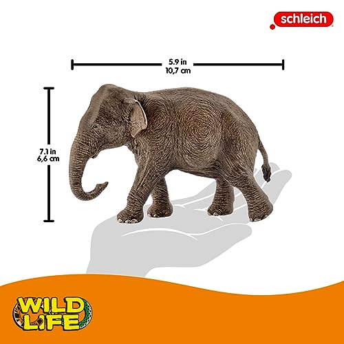 Schleich Wildlife Asian Elephant - Female Animal Figure (14753)