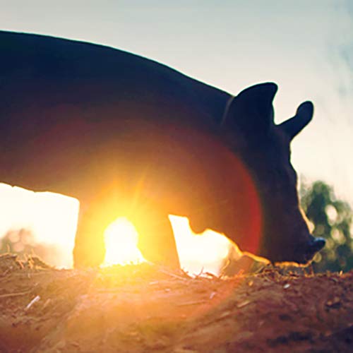 The Biggest Little Farm (2018) - Documentary [DVD]