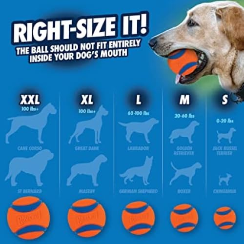 Chuckit! Tennis Ball for Small Dogs - Gentle Natural Rubber & Felt | 2 Pack 6