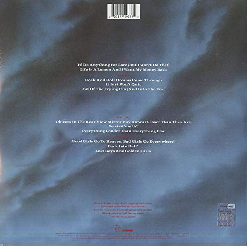 Meat Loaf - Bat Out of Hell II: Back Into Hell [VINYL] 3