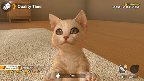 Little Friends Dogs & Cats - Nintendo Switch Digital Edition 8