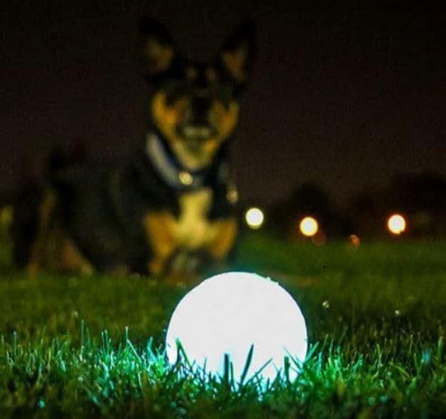 Chuckit! Max Glow Ball - Durable Rubber Fetch Toy | High Visibility | Large Size 2
