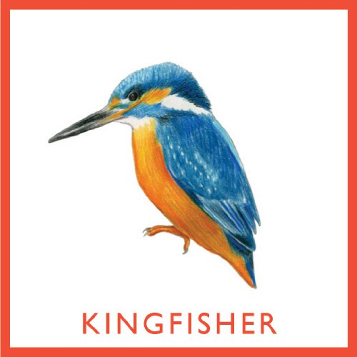 Bird Bingo (Magma for Laurence King) 6