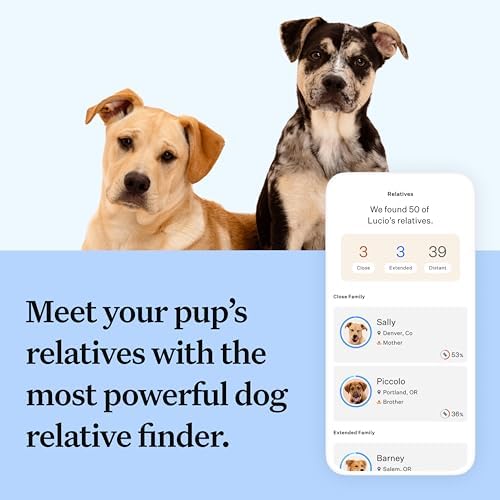 Wisdom Panel Essential Dog DNA Test Kit for Breed ID, Health Screening & Traits | 365+ Breeds 7