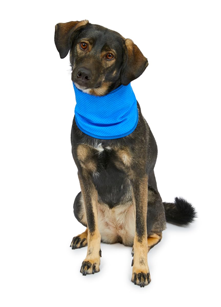 Petface Cooling Summer Blue Dog Bandana - Water-Activated Reusable | Large (38-52 cm Neck) 6