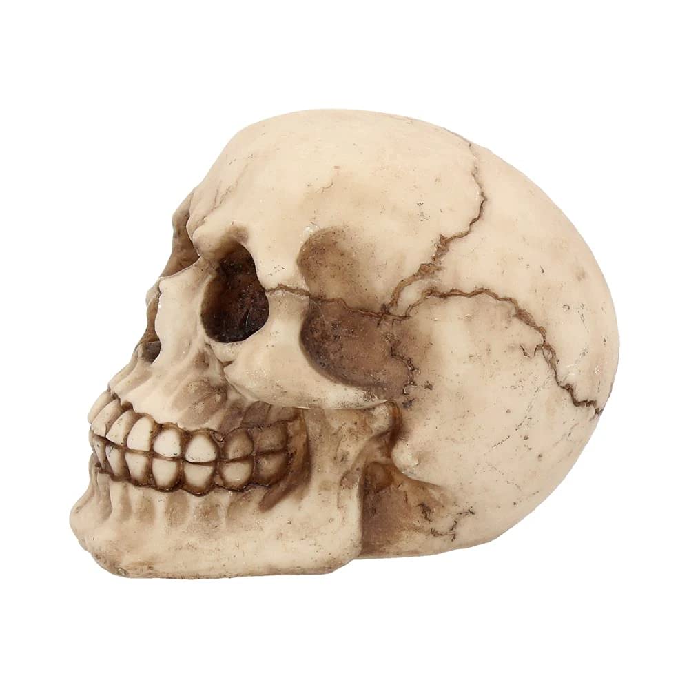 Nemesis Now Joker Skull Decorative Ornament - Resin, Ivory, 12 cm 3