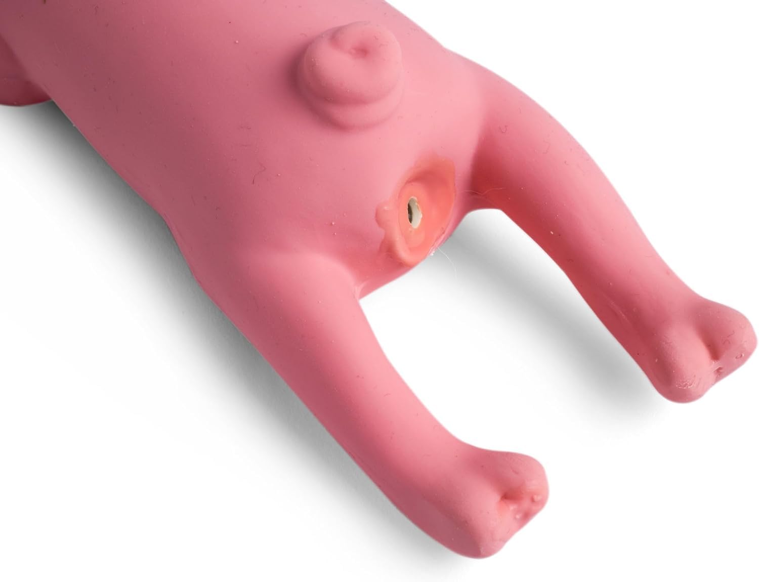 Petface Lounging Pig Dog Chew Toy - Non-Toxic Latex | Soft Chew | Portable 2