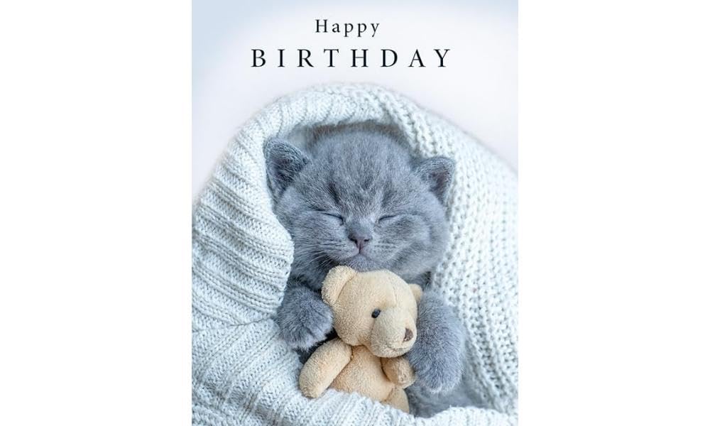 Piccadilly Greetings Birthday Card - Cute Cat and Teddy Design | 8 x 6 Inch