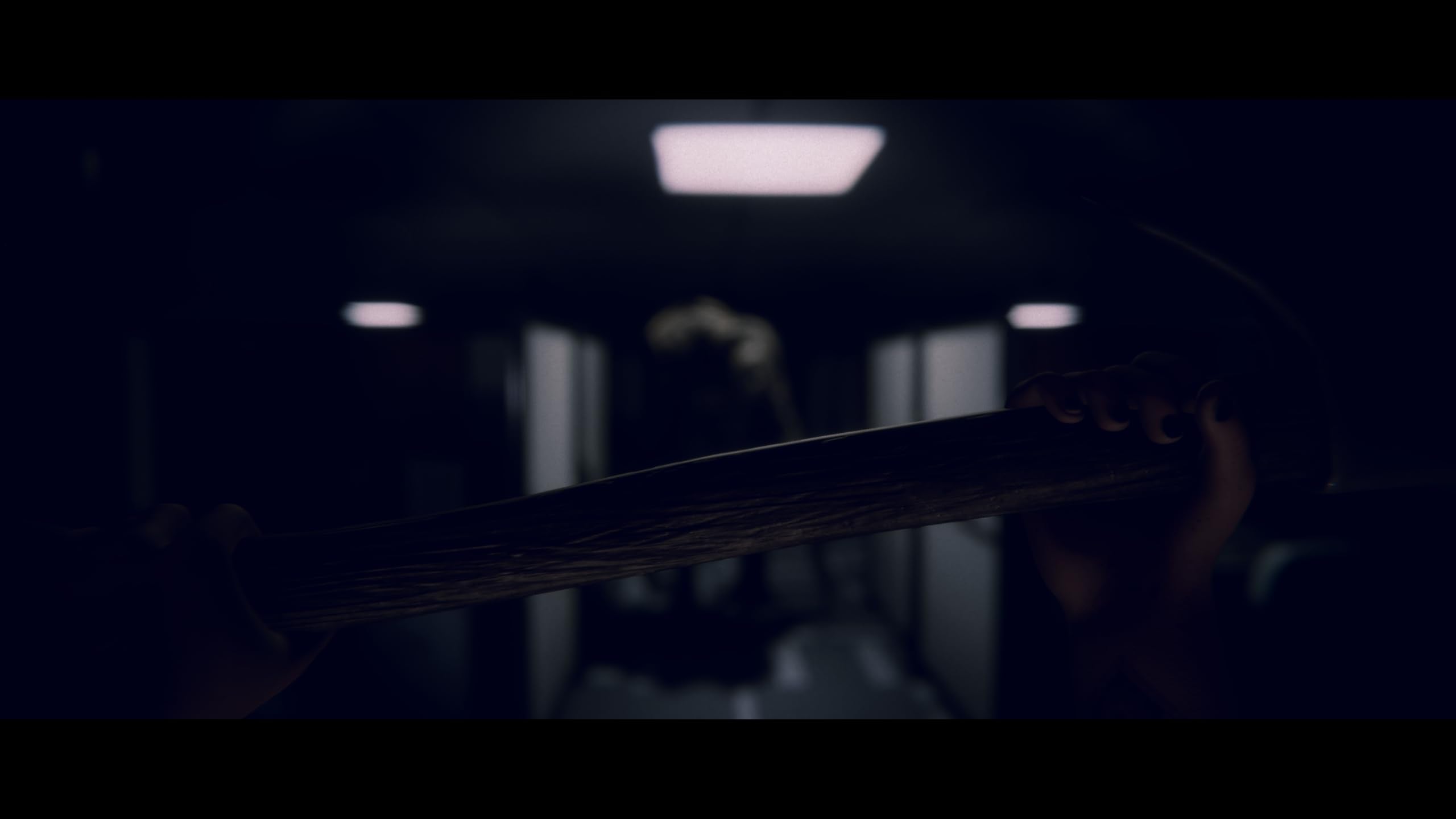 Project Songbird [PS5] 5