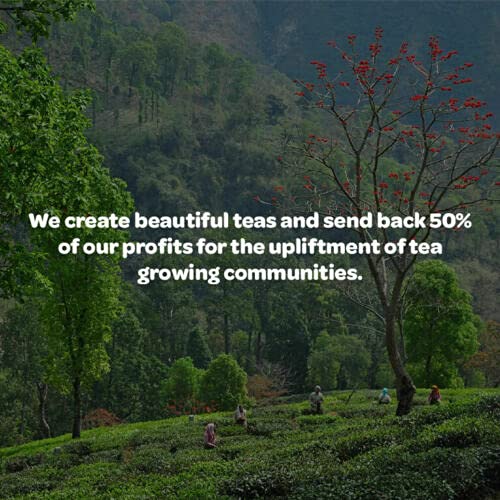 Tea People Russian Caravan Tea Caddy Pyramids (Pack of 20) 8