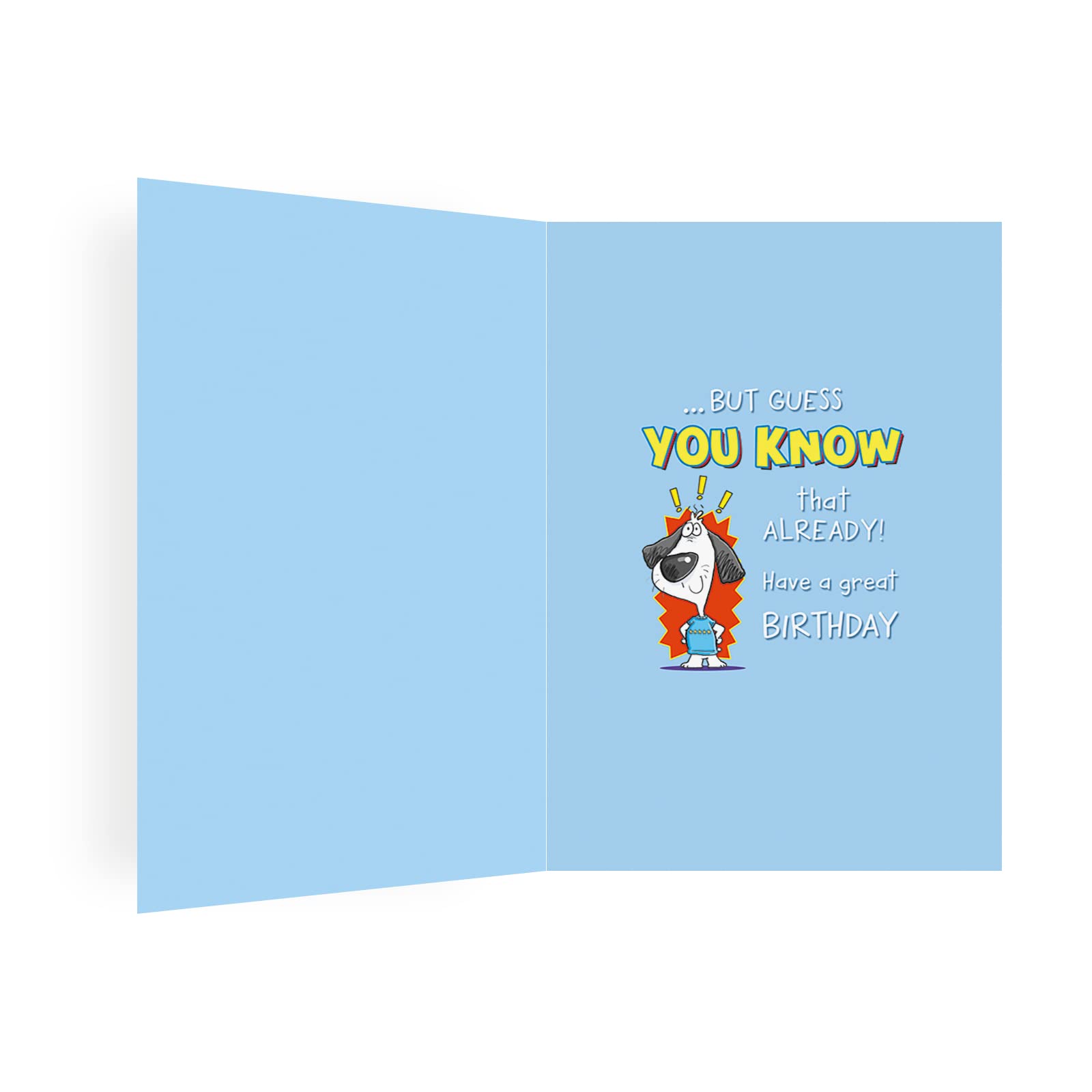 Piccadilly Greetings Humour Birthday Card for Grandson - 9 x 6 Inches | Made in UK