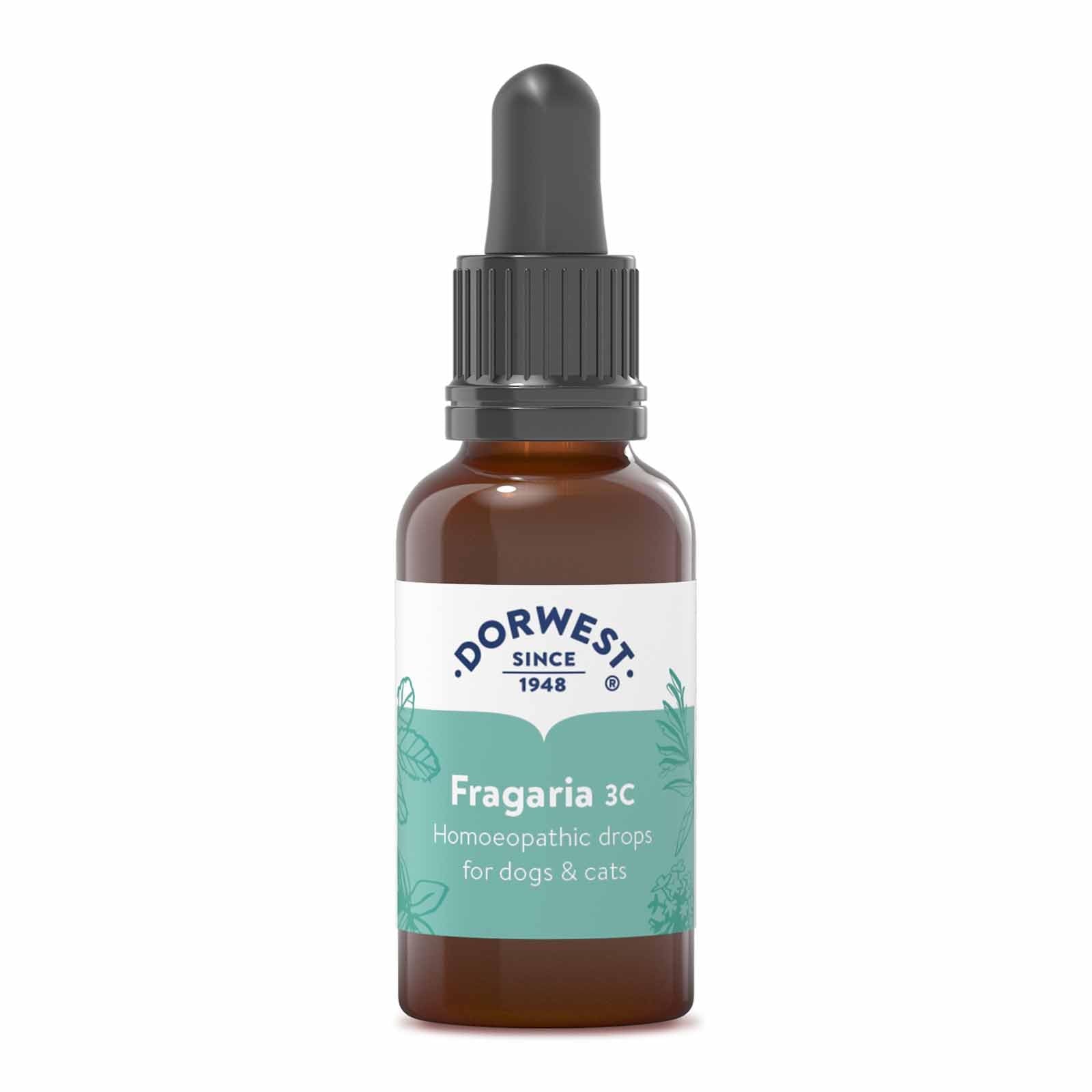 Dorwest Herbs Fragaria 3C Homoeopathic Liquid Remedy for Dogs & Cats - 15ml 1