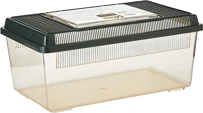 Exo Terra PT2300 Flat Faunarium - Medium Plastic Terrarium for Reptiles & Amphibians 5