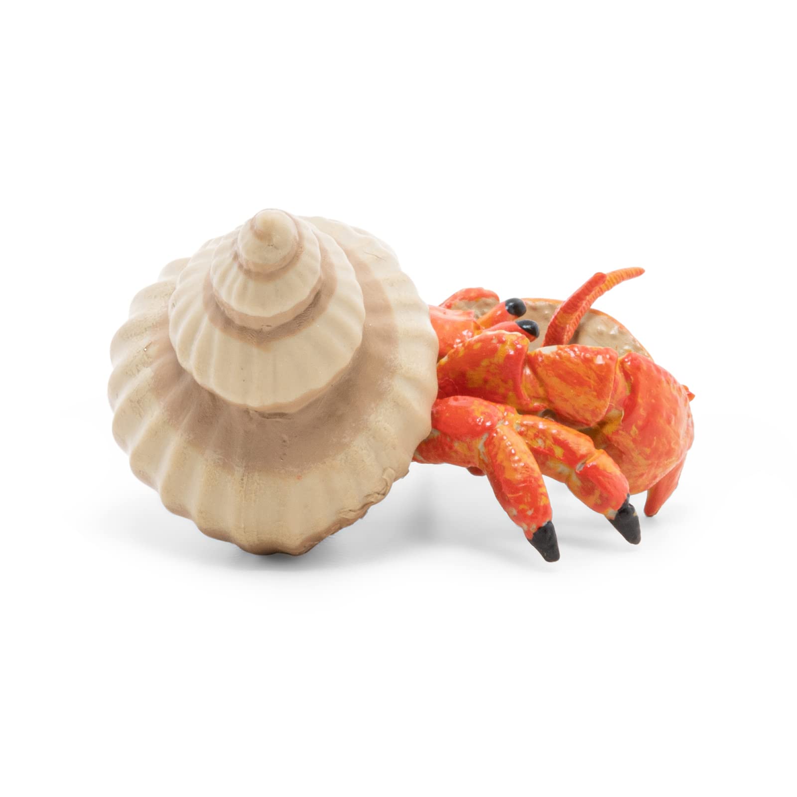 Papo Hermit Crab Figurine - Hand Painted Marine Animal Toy for Kids 3+ | Model 56054 | 6.1 x 4.4 x 2.8 cm 5