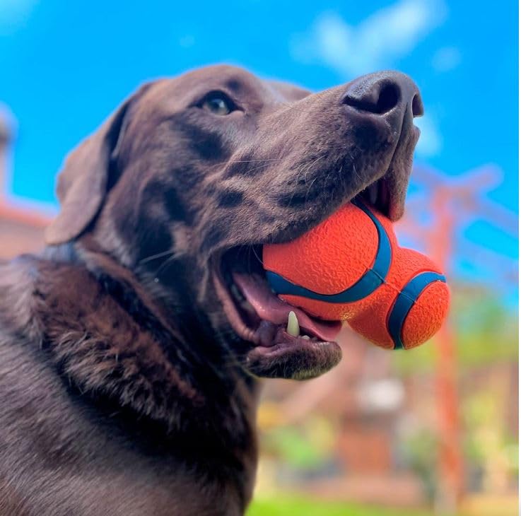 Chuckit! Ultra Tumbler Dog Ball - High Bounce Rubber Fetch Toy | Compatible with Launchers | Large 2