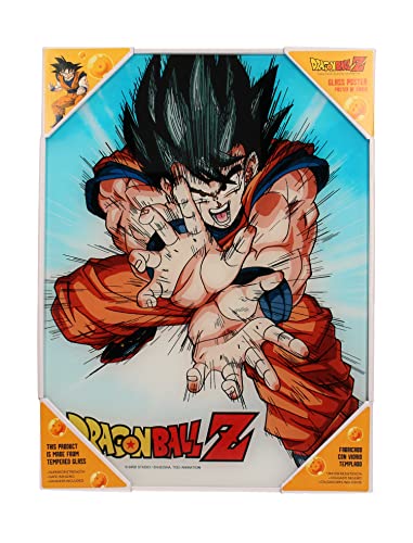 DRAGON BALL Z Goku Kame Glass Poster - 30x40 cm Collectible Display
