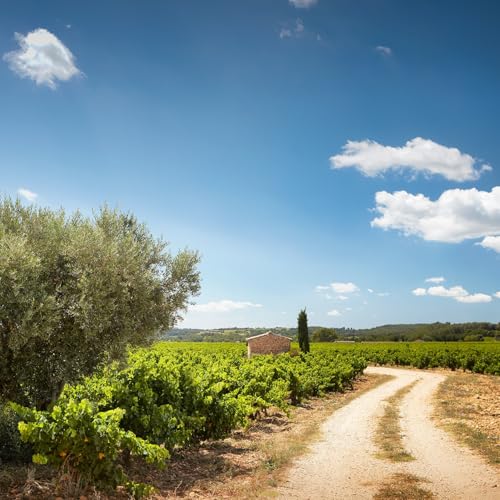 Chevalier de Altimar Prestige de Princes Chateauneuf du Pape 2023 Vintage Red Wine - 75cl with Gift Box 7