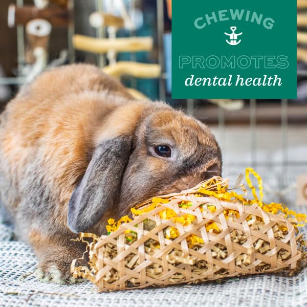 Oxbow Enriched Life Roll Arounds Small Animal Chew Toy | Natural Paper Material | Unscented 6