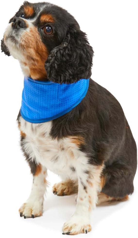 Petface Cooling Summer Pet Bandana - Water-Activated Cooling | Small Size | Blue 3