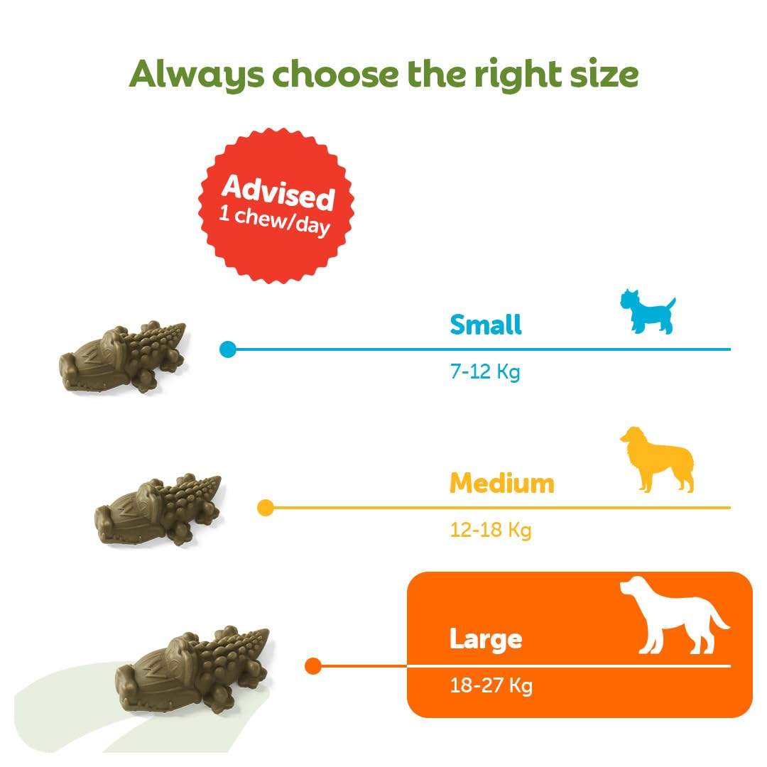 WHIMZEES Natural Dental Dog Chews - Large Alligator Shape | 6 Count | Prevents Plaque Up To 80% 4