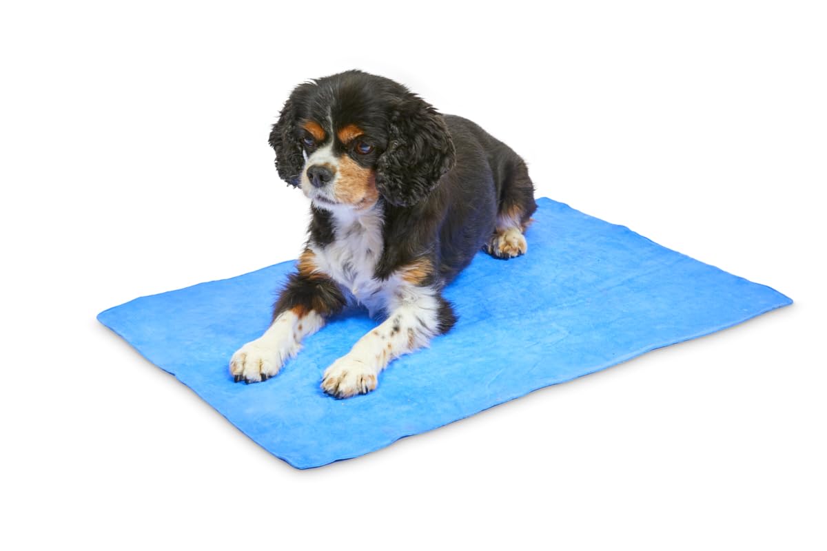 Petface Cooling Summer Pet Towel - Water-Activated Relief | 66 x 43 cm | Blue