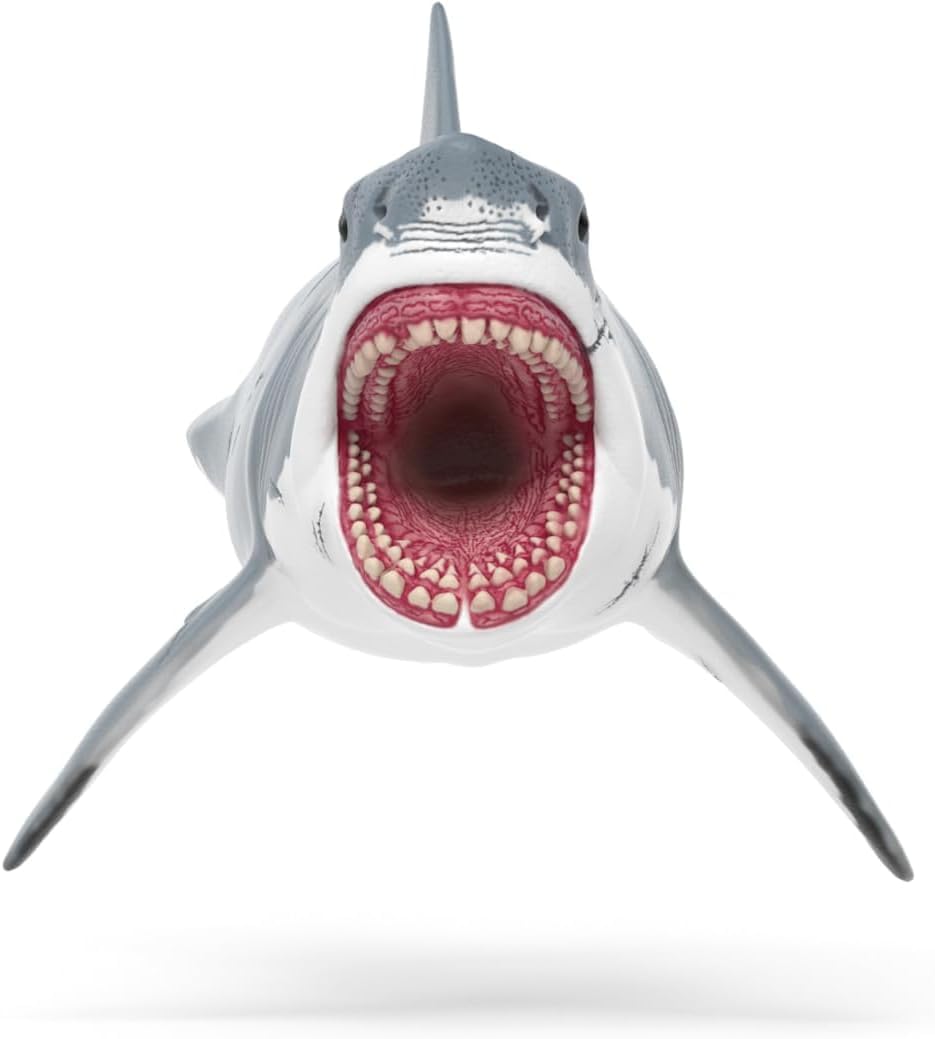 Schleich Megalodon Shark Figurine - Ultra-Realistic Prehistoric Animal Toy | Model 15055 7