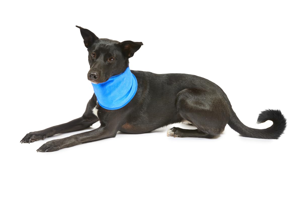 Petface Cooling Dog Bandana - Water-Activated Reusable | Large (38-52 cm Neck) 7