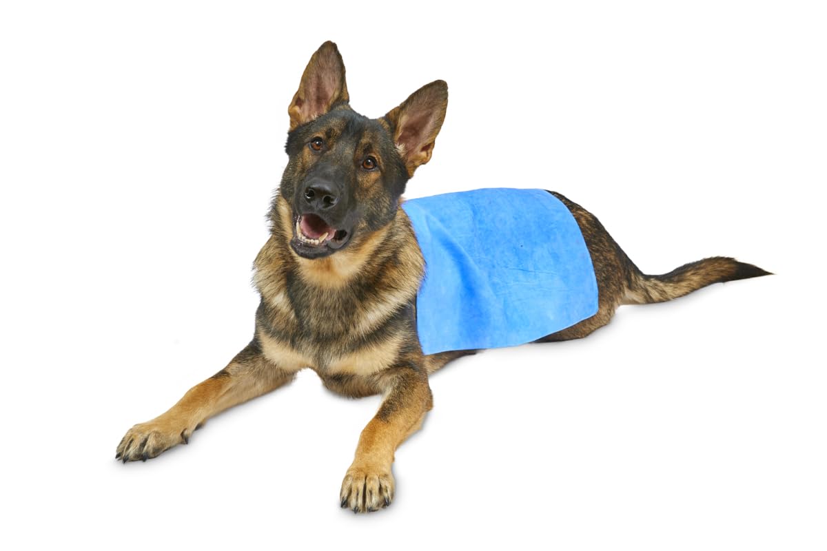 Petface Cooling Summer Pet Towel - Water-Activated Relief | 66 x 43 cm | Blue 7