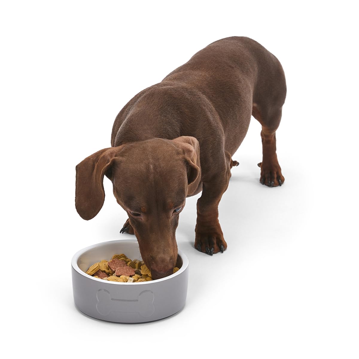 Petface Bone Ceramic Pet Bowl - Grey/White, 15 cm Diameter, Heavy Weighted for Dogs 5