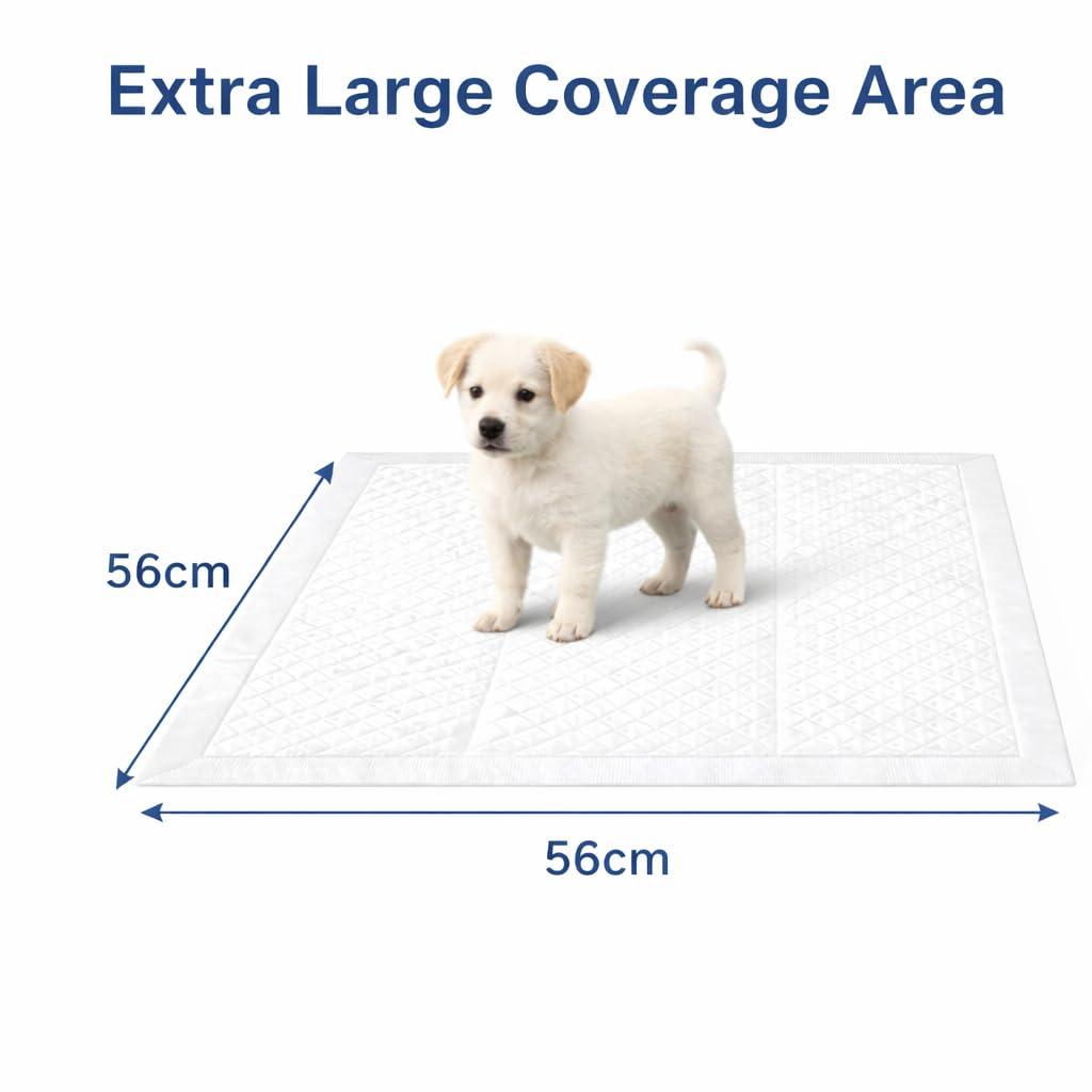 1ABOVE Puppy Training Pads - 50 Pack | 56x56CM Super Absorbent Leak Proof Pads